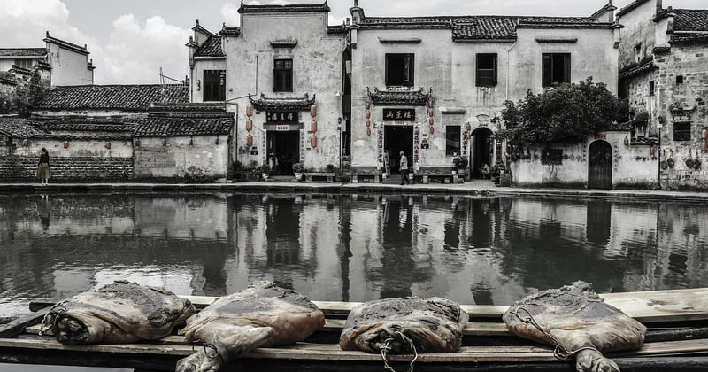 Comment mesurer l'impact du SEO local sur les ventes : le guide